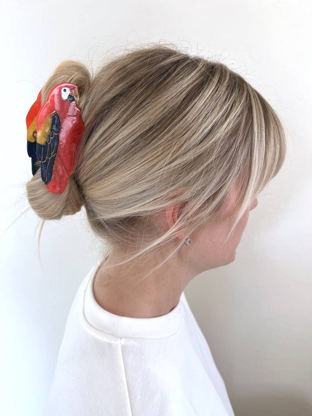 Solar Eclipse - Hand-painted Parrot Bird Claw Hair Clip | Eco-Friendly - Bill Hallman- Inman Park