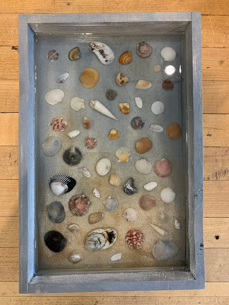 Sea Shells Tray Grey - Bill Hallman- Inman Park